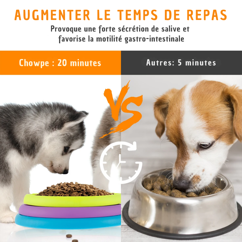 Mangeoire puzzle lente pour animaux de compagnie