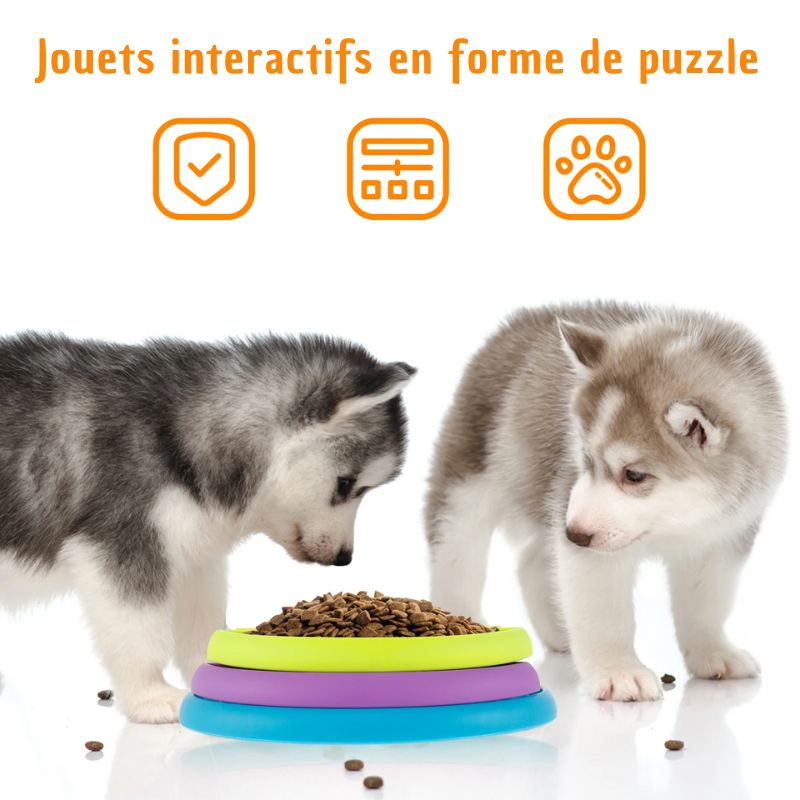 Mangeoire puzzle lente pour animaux de compagnie